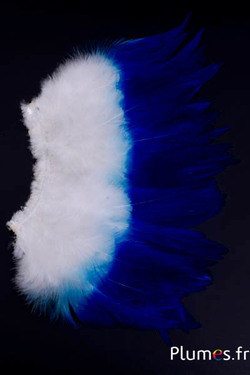 Frange coq - long. plumes 10-15 cm - blanc-bleu